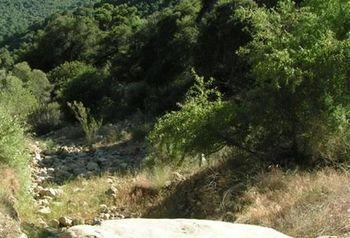 Goleta Rancho Oso Rv & Camping Resort מראה חיצוני תמונה